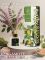 Mars&Venus Bergamote Patchouli аромадиффузор с палочками 120 мл