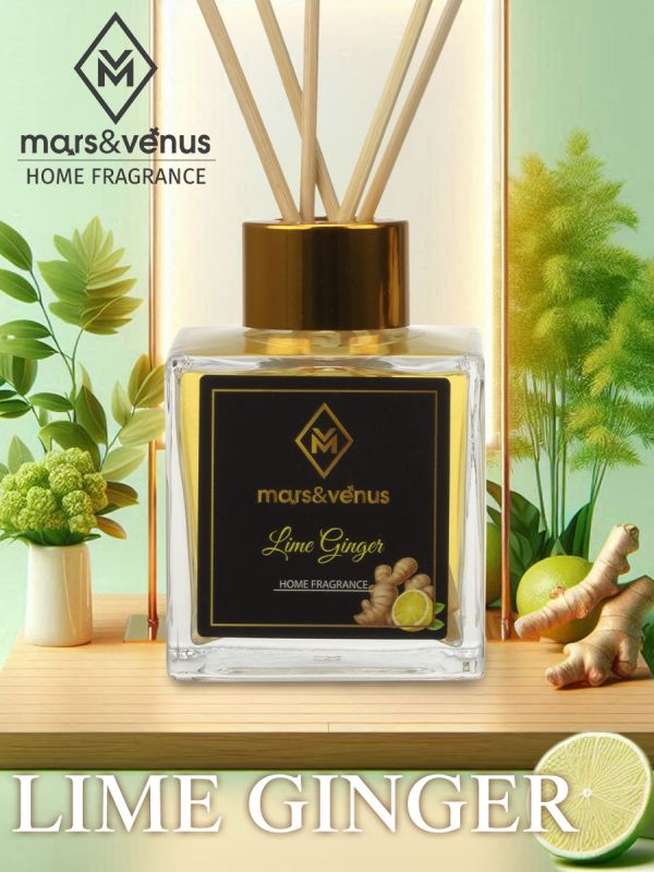 Mars&Venus Lime Ginger аромадиффузор с палочками 120 мл