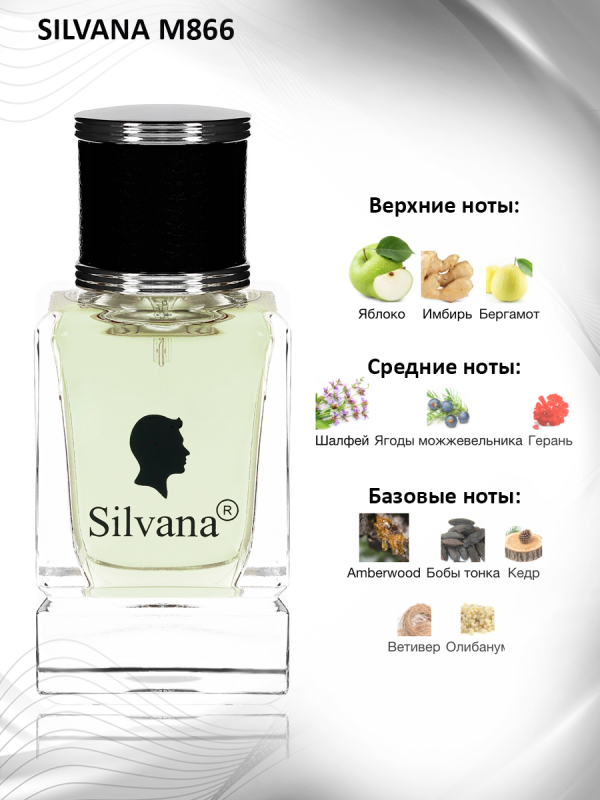 Silvana M866 L Home Woody-Musk 50 мл